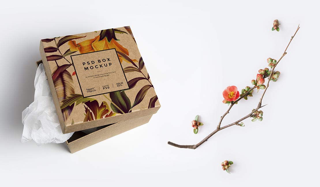 portfolio-single4-3 z